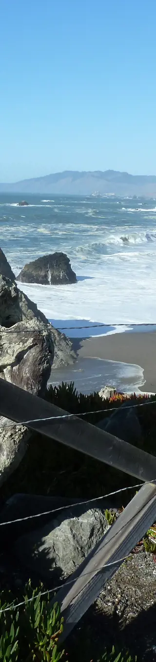 Beobachte Vögel in Bodega Bay